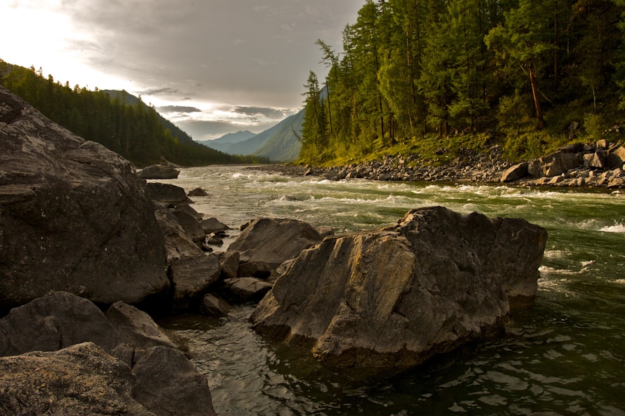 Photo "Flathead River flows"