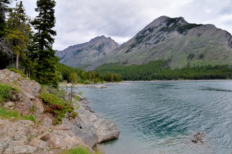 Photo Flathead River Glacier National Park