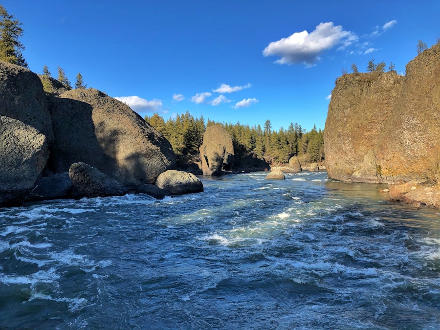 Photo South Fork Flathead River